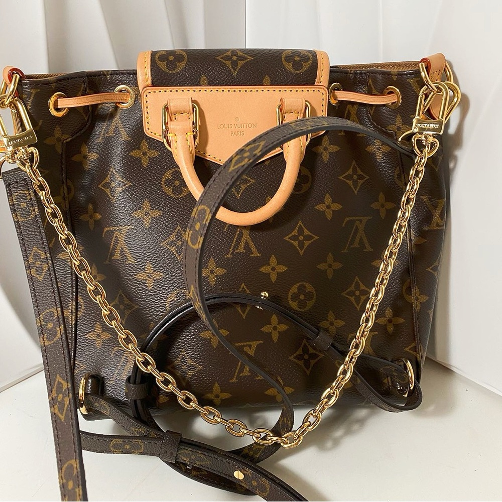 Louis Vuitton Monogram Excursion Backpack - Picture 2 of 12